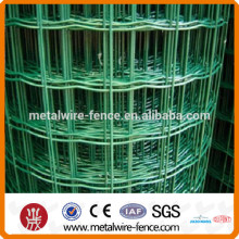 PVC Coated Green Holland Wire Mesh(ISO9001:2000)